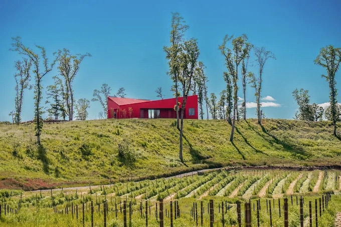 corollary winery
